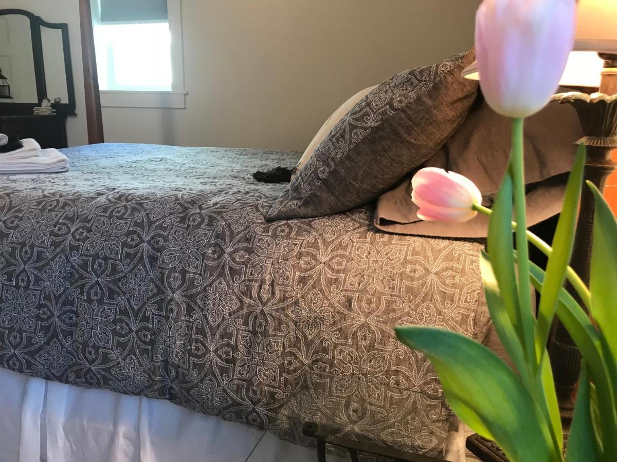 Snowgoose Pond Bed & Breakfast 帕尔默 外观 照片